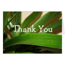 Tropical Leaf Thank You Cards