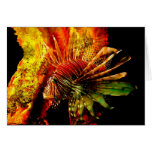 Tropical Lionfish Photo Art Greeting Card