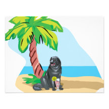Tropical Newfie Personalized Announcements