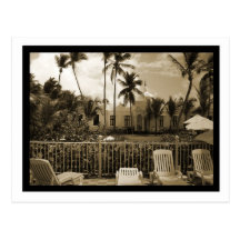 Tropical Oasis Postcard