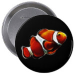 Tropical Orange Clownfish Clown Fish Button