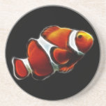 Tropical Orange Clownfish Clown Fish Coasters