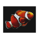 Tropical Orange Clownfish Clown Fish Custom Flyer