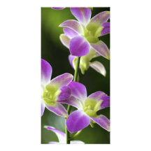 Tropical Orchids Photocard Customized Photo Card