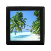 Tropical Palm Beach! Gift Boxes