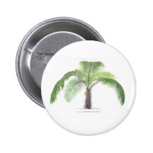 tropical palm tree collection - drawing VI Buttons