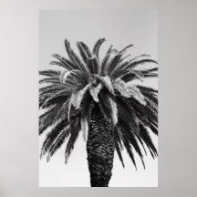 Tropical Palm Tree Poster,Print