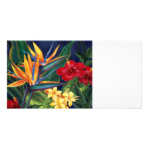 Tropical Paradise Invite &  Photo cards