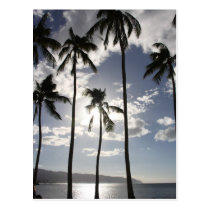 Tropical Paradise postcards