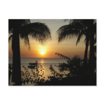 Tropical Paradise Post Cards