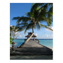 Tropical paradise - Today's Best December 12, 2007 Post Card