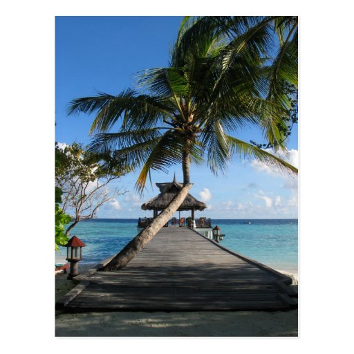 Tropical paradise - Today's Best December 12, 2007 Post Card