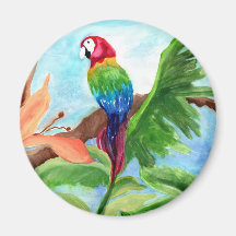 Tropical Parrot-Ice Magnets