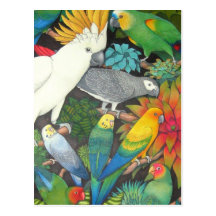 Tropical Parrots & Bromeliads Postcard