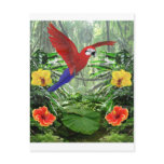 Tropical Rain Forest Post Card