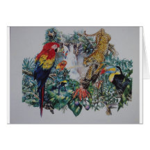 Tropical Rainforest Wildlife Collage Cards