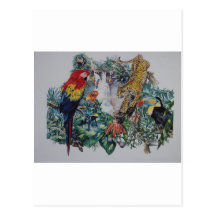 Tropical Rainforest Wildlife Collage Postcard