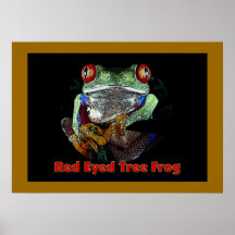 Tropical Red-eyed-tree-frog Poster