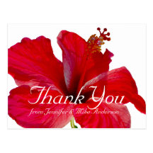 Tropical Red Hibiscus Flower Thank You Postcards