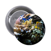 Tropical Reef 2 Buttons