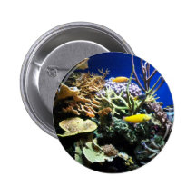 Tropical Reef 3 Pin