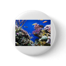 Tropical Reef Pinback Buttons