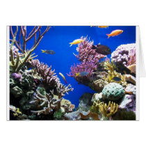 Tropical Reef Greeting Cards