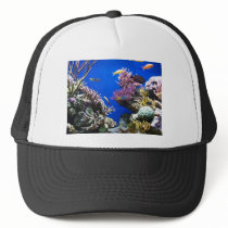 Tropical Reef Mesh Hats