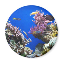 Tropical Reef Fridge Magnets