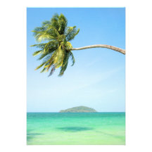 Tropical Scenery Custom Announcement