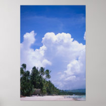Tropical shoreline posters