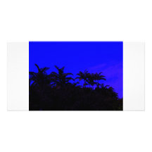Tropical Silhouette Picture Card