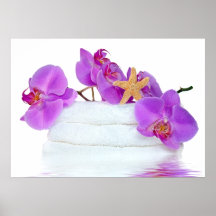 Tropical Spa Poster