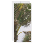 Tropical Splendour rack cards