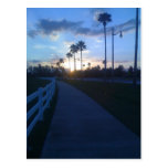 Tropical Sunset Postcard