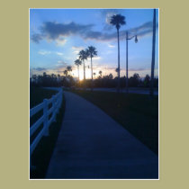 Tropical Sunset Postcard postcards