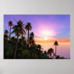 Tropical Sunset