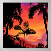 Tropical Sunset Posters