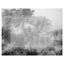 Tropical Tree Black and White in fog