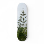 Tropical Trees Skate Deck
