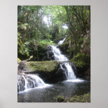 Tropical Waterfall Poster 12x16