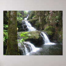 Tropical Waterfall Poster (Landscape) 16x12