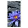 Tropical Waterlily Photo Card
