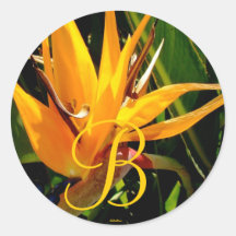 Tropical Wedding Bird of Paradise Monogram B Seal Round Sticker
