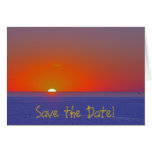 Tropical Wedding_Save the Date! Card