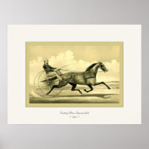 Trotting Mare American Girl ~ 1870 ~ Fine Art Poster