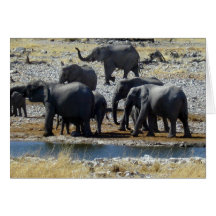Troupeau d'éléphant cartes de vœux