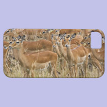 Troupeau d'impala femelle, masai Mara, Kenya coques case-mate