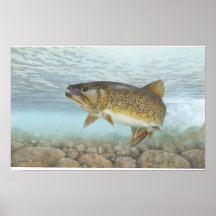 Trout, brook posters