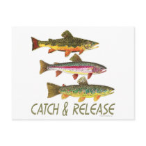 Trout Catch and Release Postcards